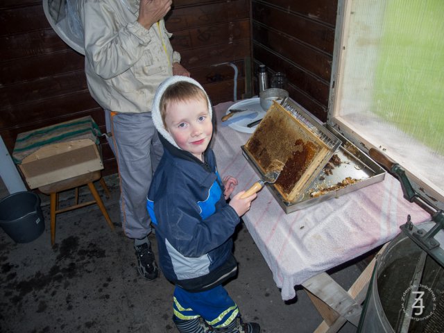 Vytáčení medu 2014