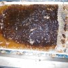 Vytáčení medu 2014