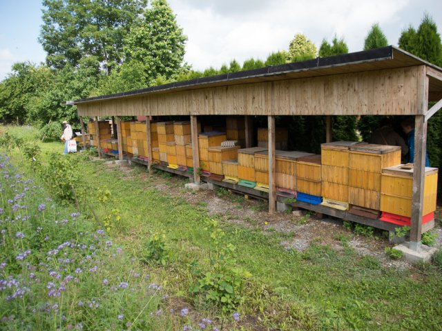 Štíhlice 2015