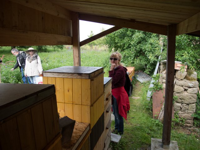 Štíhlice 2015