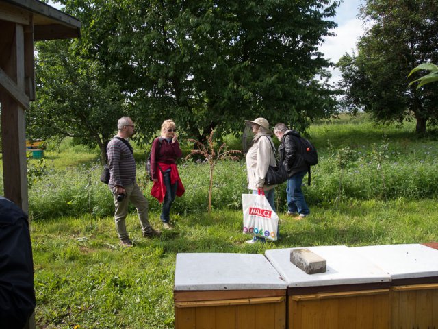 Štíhlice 2015