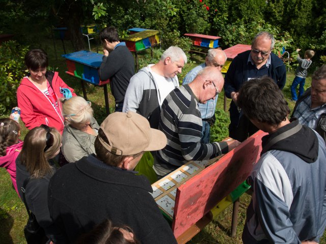 Štíhlice 2015