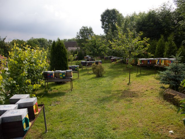 Štíhlice 2015