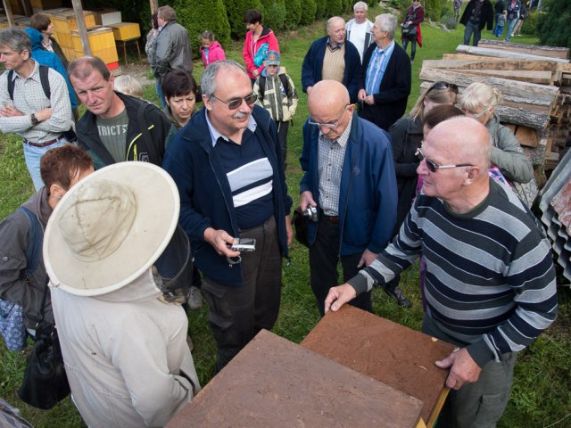 Štíhlice 2015