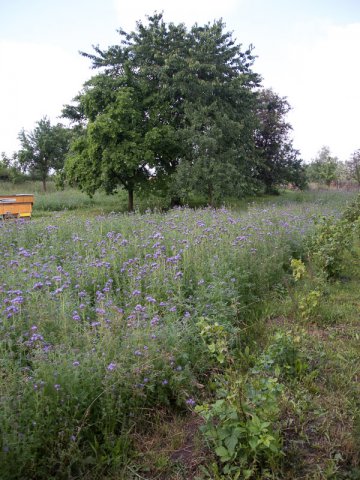 Štíhlice 2015